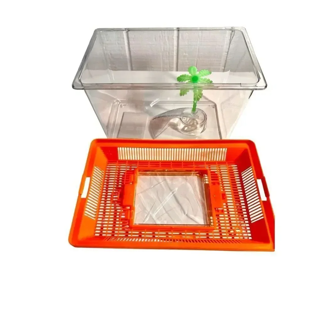 Portable Aquatic/Terrarium Tank, Plastic Carrier Cage with Lid and Handle NWT